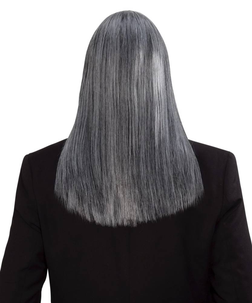 Perruque homme cheveux longs gris  P20355